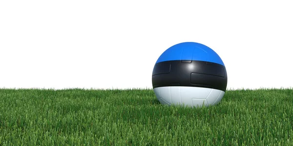 Piłka nożna estońska flaga Estonii leżące w trawie MŚ 2018 — Zdjęcie stockowe