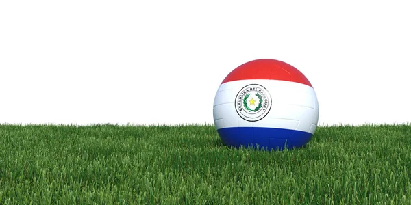Paraguayaanse Paraguay vlag nieuw voetbal liggen in gras wereld cu — Stockfoto