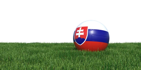 Slovakia Slovakian flag soccer ball lying in grass world cup 201 — Stock Photo, Image