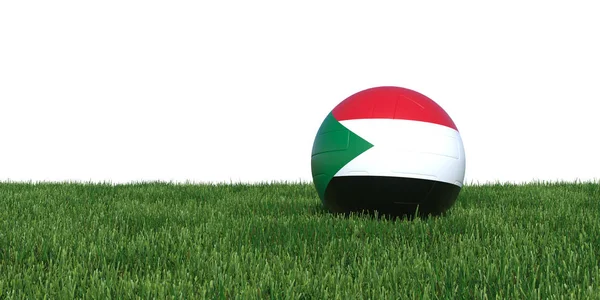 Futbol topu çim Dünya Kupası 2018 yalan sudan Sudan bayrağı — Stok fotoğraf