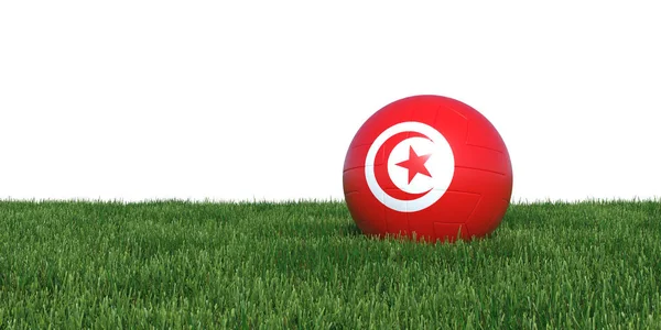 Tunis Tunesië Tunesische vlag voetbal liggen in gras wereld cu — Stockfoto