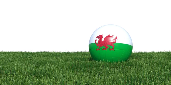 Футбольный мяч Уэльса на чемпионате мира по траве 2018 — стоковое фото