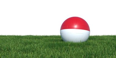 Otların arasında yalan Endonezya Endonezya bayrağı futbol topu