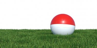 Otların arasında yalan Monaco bayrağı futbol topu