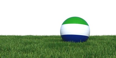 Otların arasında yalan Sierra Leone bayrak futbol topu