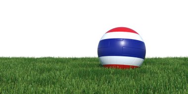 Tayland Tayland futbol topu çim yalan bayrak