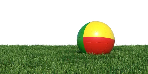 Benin beninsk flagga fotboll bollen liggande i gräset — Stockfoto