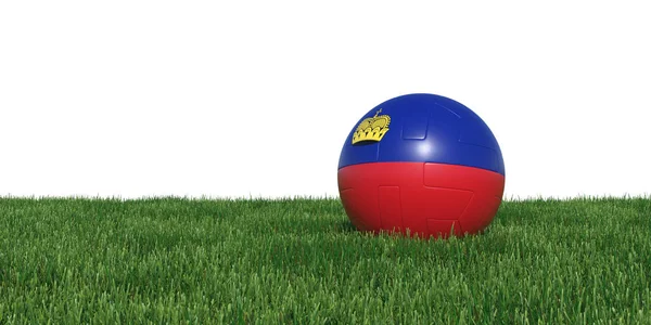 Liechtensteins flagga fotboll bollen liggande i gräset — Stockfoto