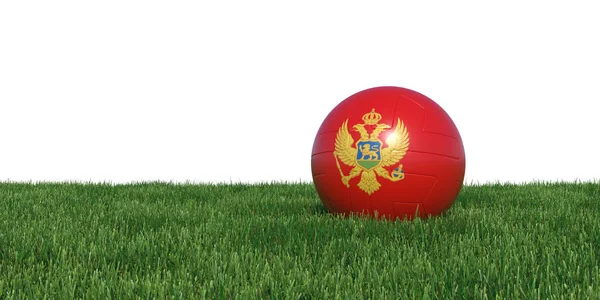 Montenegro Montenegrijnse Vlag voetbal liggen in het gras — Stockfoto