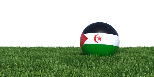 Sahrawi Repubblica Democratica Araba bandiera pallone da calcio sdraiato in erba — Foto Stock
