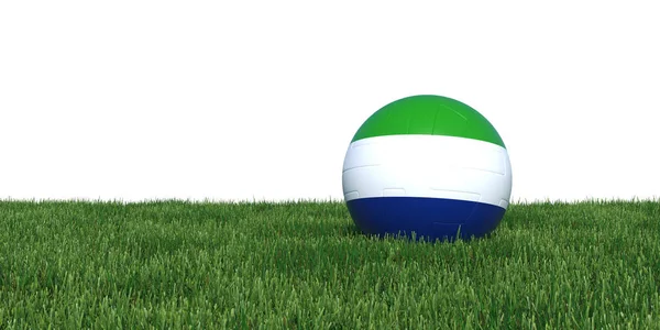 Sierra Leone vlag voetbal liggen in het gras — Stockfoto