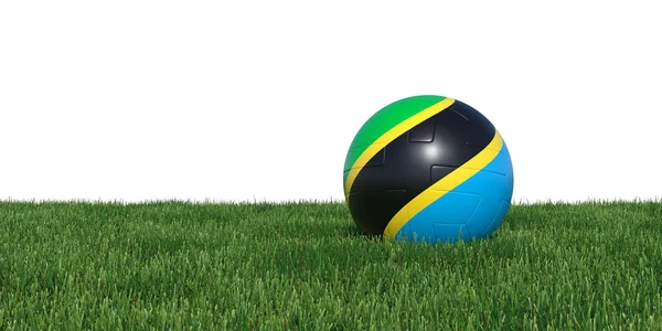 Bandera de Tanzania pelota de fútbol acostado en la hierba —  Fotos de Stock