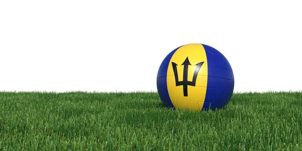 Barbados Barbados vlag voetbal liggen in het gras — Stockfoto