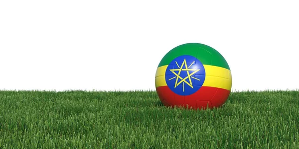 Ethiopië Ethiopische vlag voetbal liggen in het gras — Stockfoto