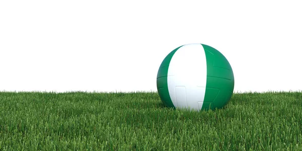 Nigeria nigeriansk flagg fotboll bollen liggande i gräset — Stockfoto