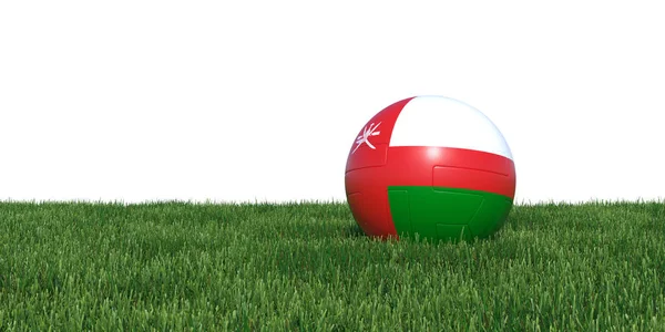 Omaanse Oman vlag voetbal liggen in het gras — Stockfoto