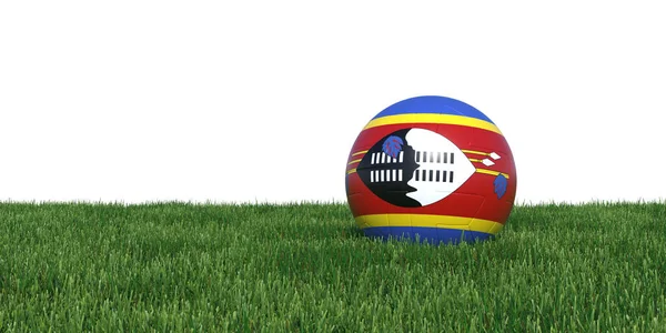 Swazilands flagga fotboll bollen liggande i gräset — Stockfoto