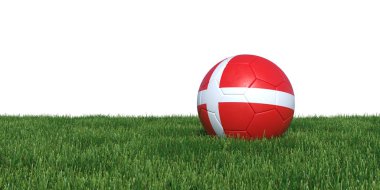 Otların arasında yalan Danimarka bayrağı futbol topu