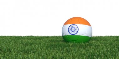 Hindistan Hint bayrak çim yalan futbol topu