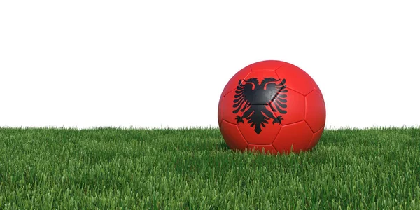 Albanees-Albanië vlag voetbal liggen in het gras — Stockfoto