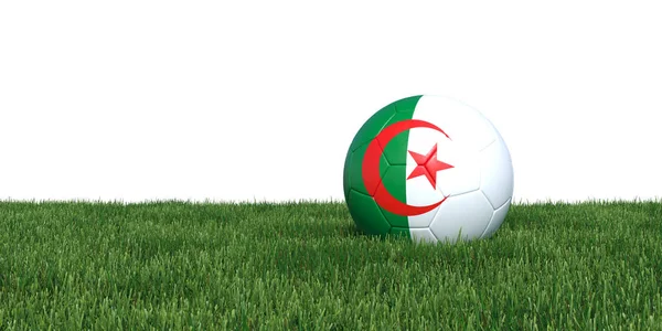 Algerijnse Algerije vlag voetbal liggen in het gras — Stockfoto
