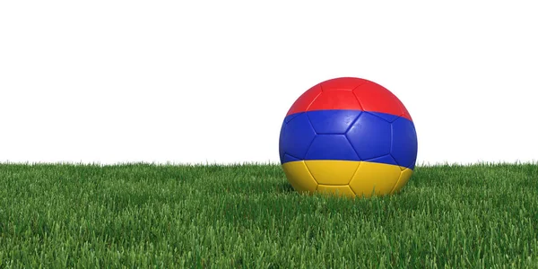 Armenië Armeense vlag voetbal liggen in het gras — Stockfoto