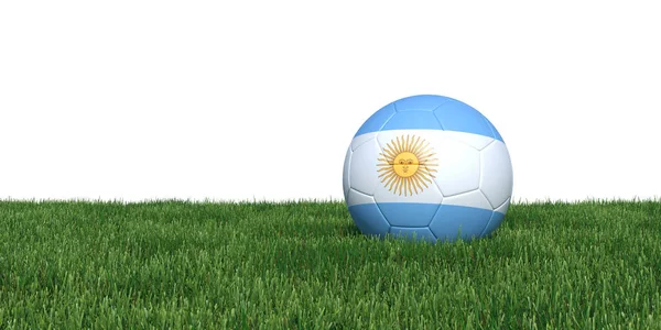 阿根廷国旗足球躺在草地上 — 图库照片