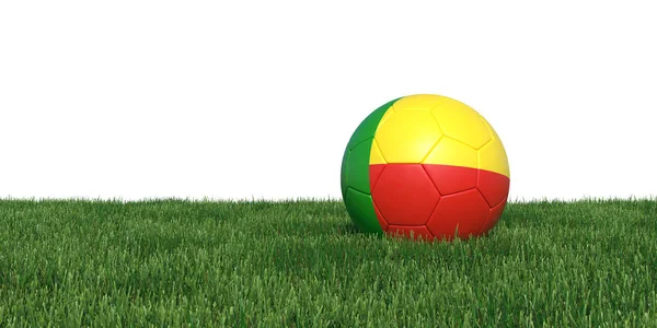 Benin Beninese vlag voetbal liggen in het gras — Stockfoto