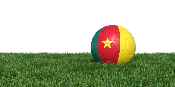 Cameroon Cameroonian flag soccer ball lying in grass — Stock Photo, Image