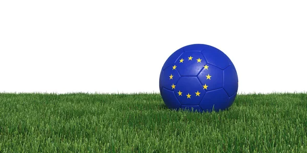 Euro Europe European flag soccer ball lying in grass — Stock Photo, Image