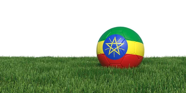 Ethiopië Ethiopische vlag voetbal liggen in het gras — Stockfoto