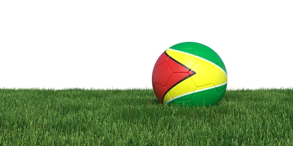 Guyana Guyanezen vlag voetbal liggen in het gras — Stockfoto