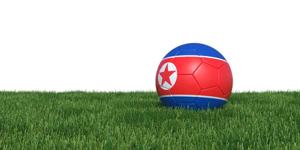 Korea-Koreaans vlag voetbal liggen in het gras — Stockfoto