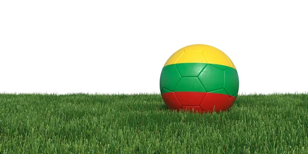 Litouwen Litouwse vlag voetbal liggen in het gras — Stockfoto