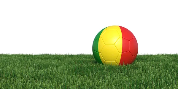 Mali-Guinea Guineas vlag voetbal liggen in het gras — Stockfoto