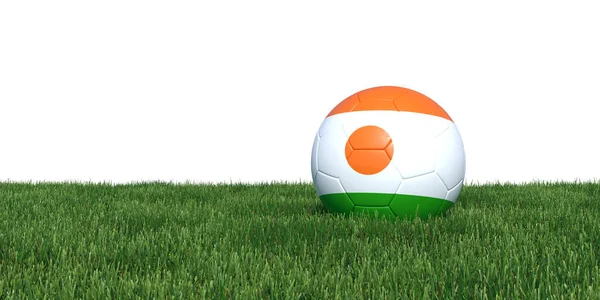 Niger Nigeriaanse vlag voetbal liggen in het gras — Stockfoto