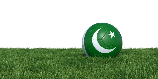草に横たわっているパキスタン パキスタンの旗サッカー ボール — ストック写真