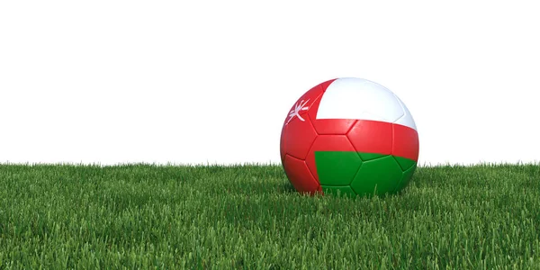 Omani Oman flag soccer ball lying in grass — Stock Photo, Image