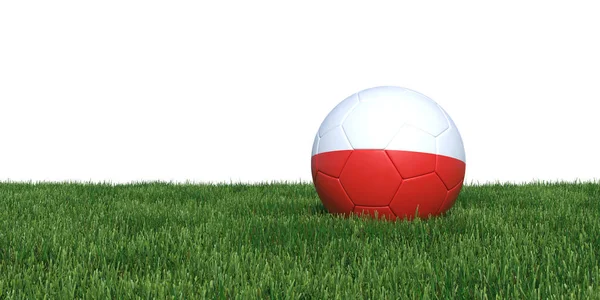 Poolse Polen vlag voetbal liggen in het gras — Stockfoto