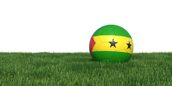 Sao Tome en Principe vlag voetbal liggen in het gras — Stockfoto