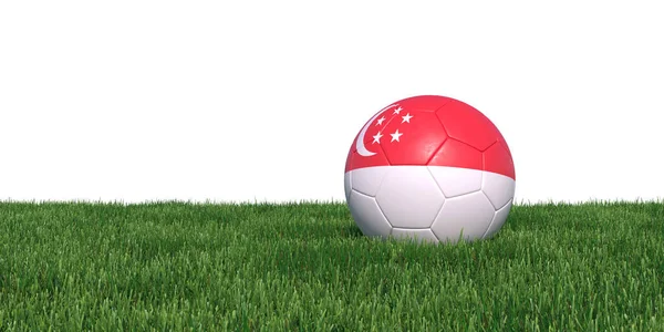 Singapore Singaporaanse vlag voetbal liggen in het gras — Stockfoto