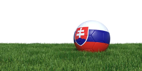 Slovakia Slovakian flag soccer ball lying in grass — Stock Photo, Image