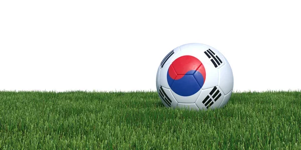 South Korea South Korean flag soccer ball lying in grass — Stock Photo, Image