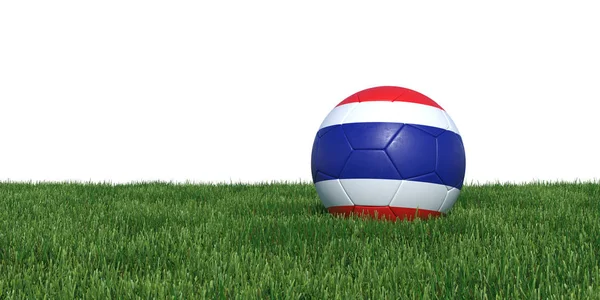 Thailand Thai vlag voetbal liggen in het gras — Stockfoto