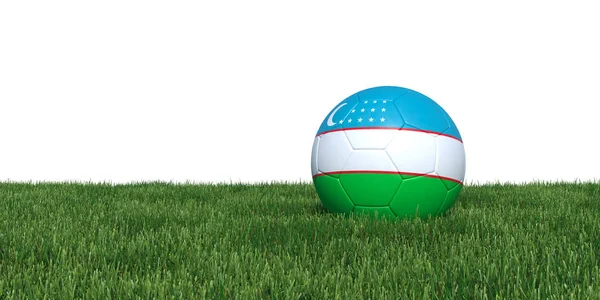 Oezbekistan Oezbeekse vlag voetbal liggen in het gras — Stockfoto