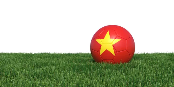 Vietnam pallone da calcio bandiera vietnamita sdraiato in erba — Foto Stock