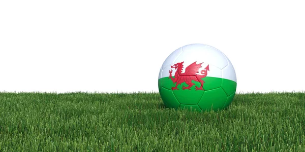 Wales flagga fotboll bollen liggande i gräset — Stockfoto