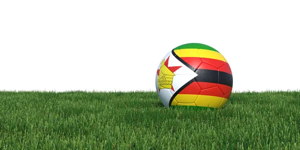 Zimbabwe Zimbabwean flag soccer ball lying in grass — Stock Photo, Image