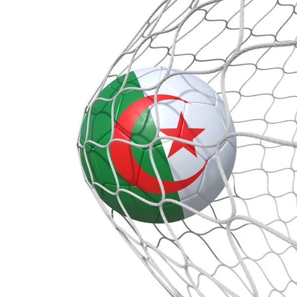 Algerian Algeria flag soccer ball inside the net, in a net. — Stock Photo, Image