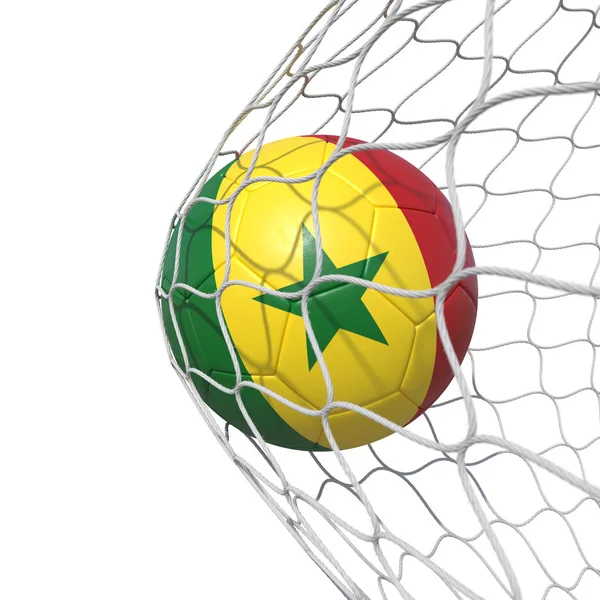 Senegal pelota de fútbol bandera senegalesa dentro de la red, en una red . —  Fotos de Stock